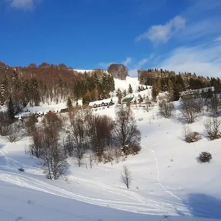 Tatran Tánička *